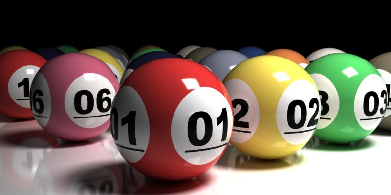 Cách nuôi hiệu quả từ chuyên gia